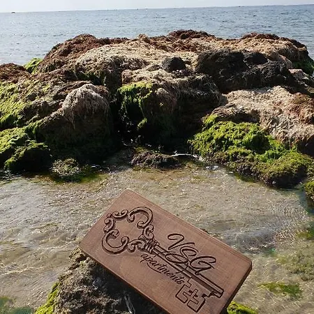 Vsg - Garden Ravda