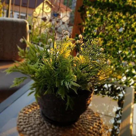 Vsg - Garden Apartment