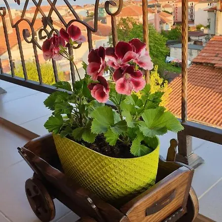 Apartment Vsg - Garden